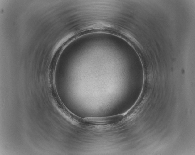 X0000076231026200609281107