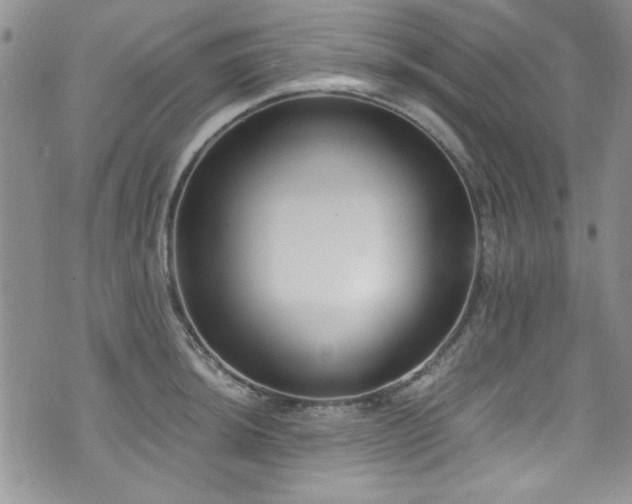 X0000076231044200609281107