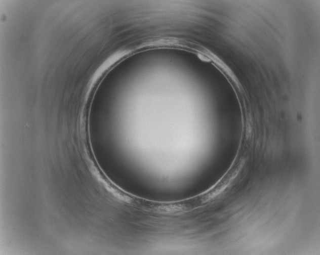 X0000076231053200609281107