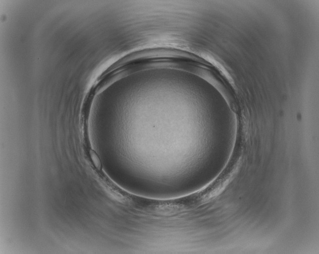 X0000076231077200609281106