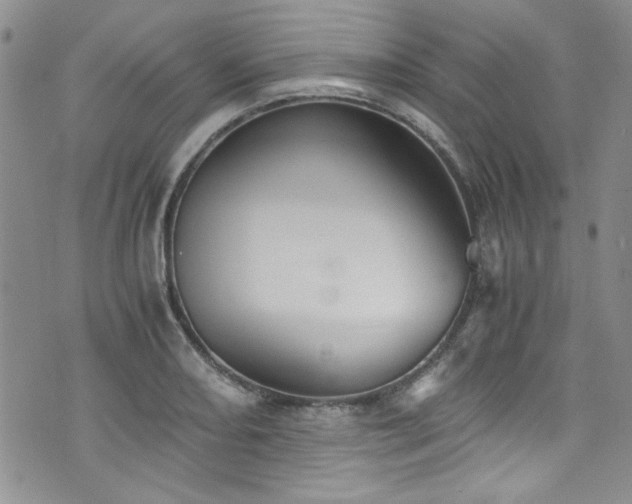 X0000076231082200609281106