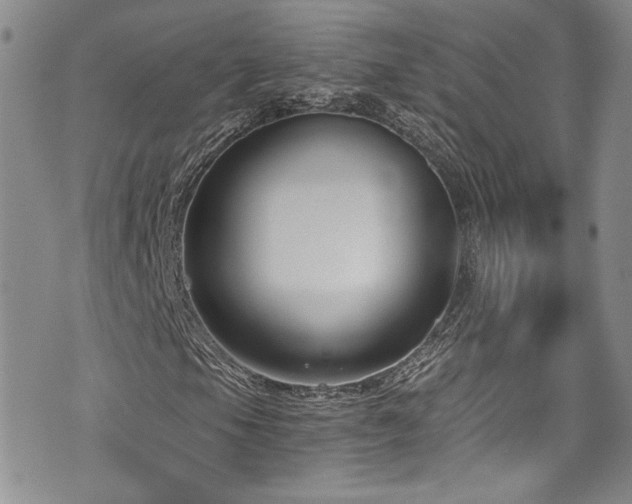 X0000076231105200609281105