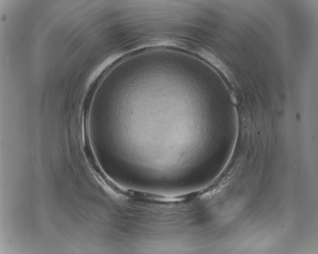 X0000076231127200609281105