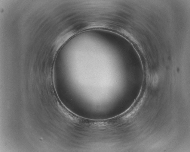 X0000076231137200609281106