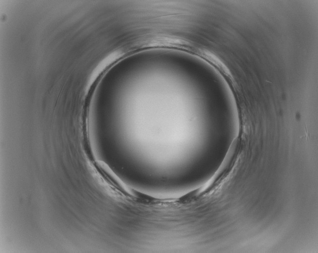 X0000076231138200609281106