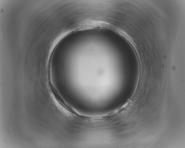 X0000076231152200609281106