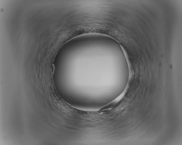 X0000076231153200609281105