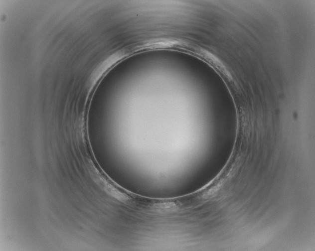 X0000076231186200609281104