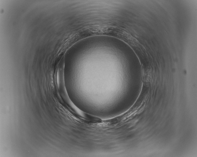 X0000076231202200609281103