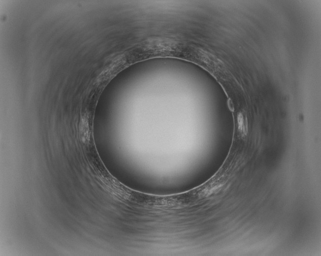 X0000076231203200609281103
