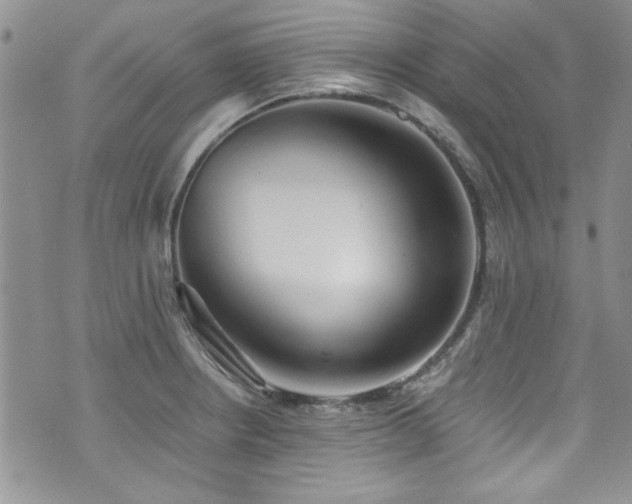 X0000076231234200609281104