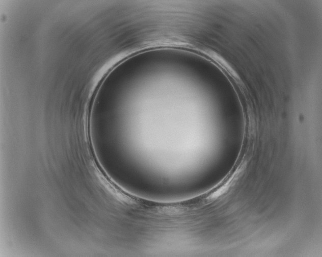 X0000076231246200609281104
