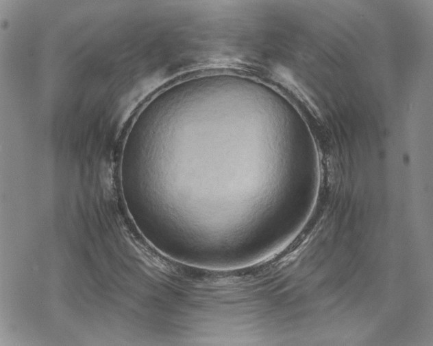 X0000076231260200609281103