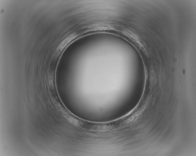X0000076231273200609281103