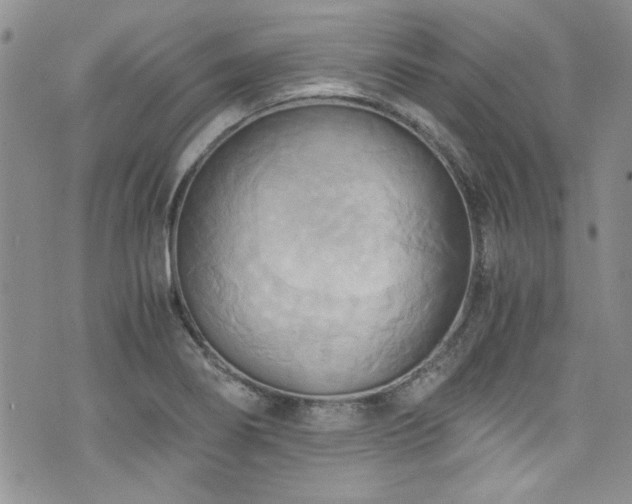 X0000076231274200609281103