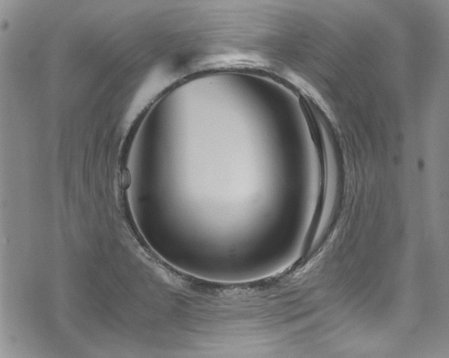 X0000076231277200609281103