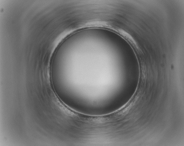X0000076231288200609281103