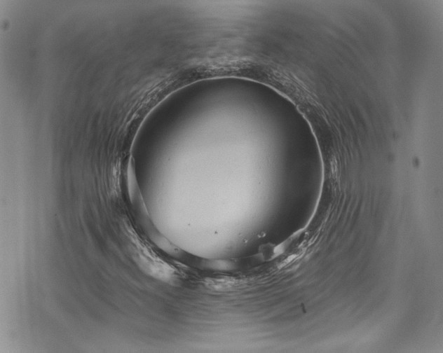 X0000076231300200609281102