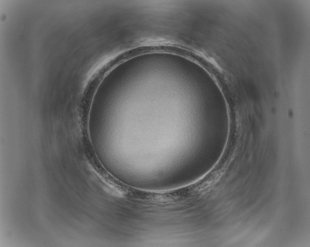 X0000076231311200609281102