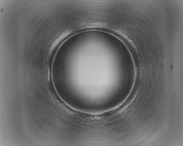 X0000076231317200609281102