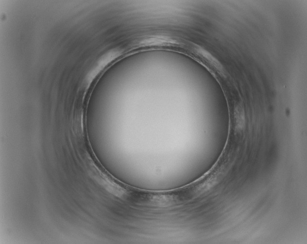 X0000076231322200609281102