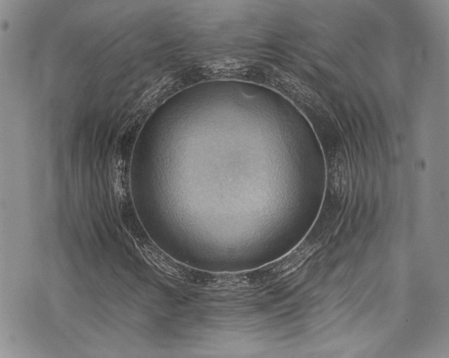 X0000076231346200609281102