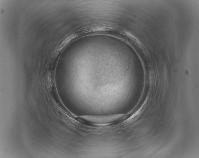 X0000076231353200609281102