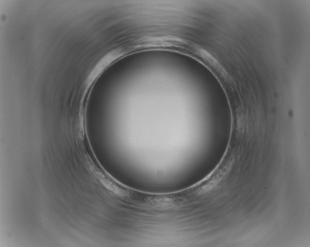 X0000076231370200609281101