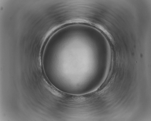X0000076231372200609281101