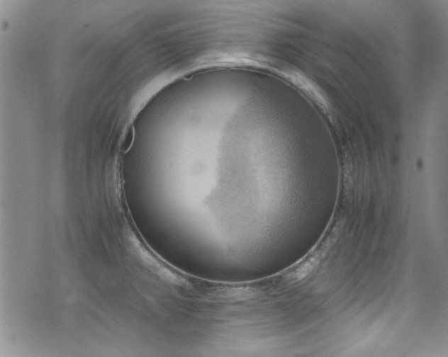X0000076231382200609281101