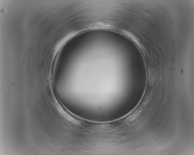 X0000076231387200609281101