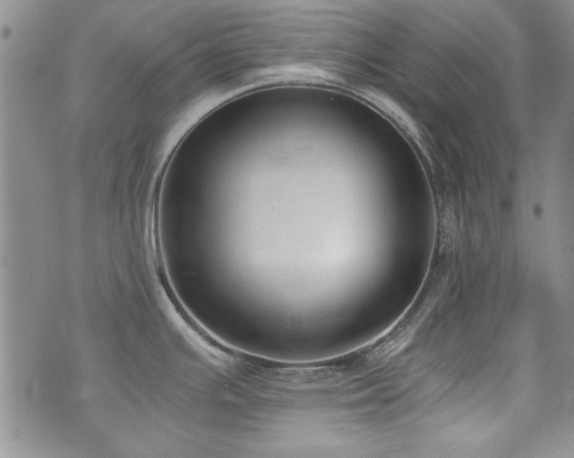X0000076231391200609281101