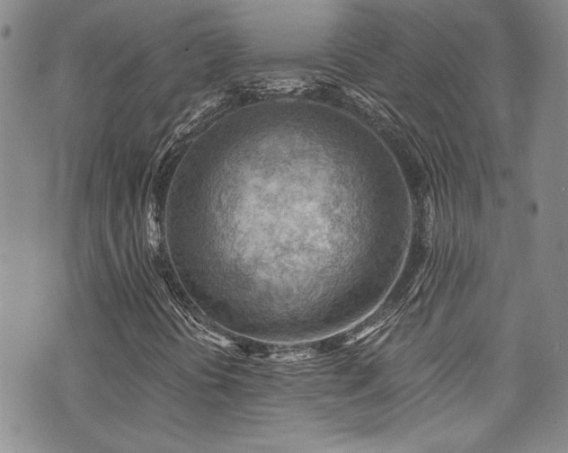 X0000076231394200609281100