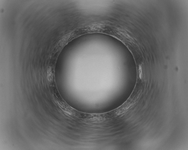 X0000076231395200609281100