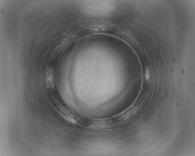 X0000076231396200609281100