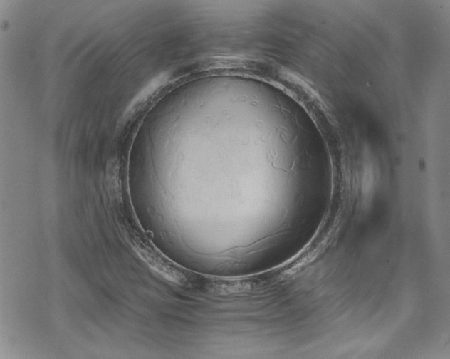 X0000076231403200609281100