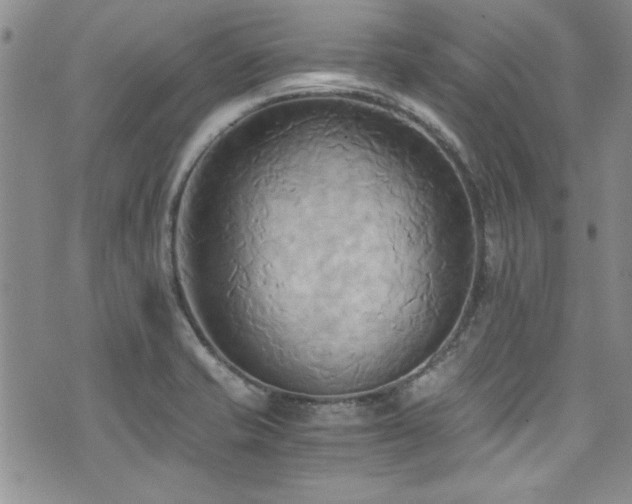 X0000076231421200609281101