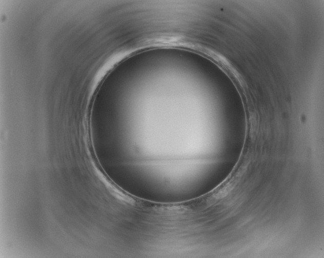X0000076231432200609281101