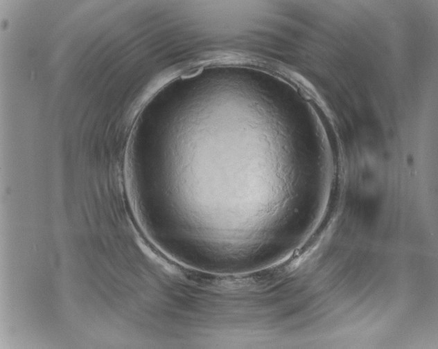 X0000076231433200609281101