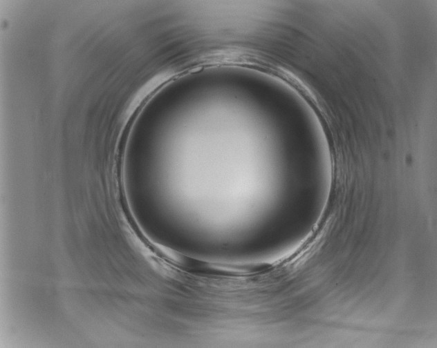 X0000076231434200609281101