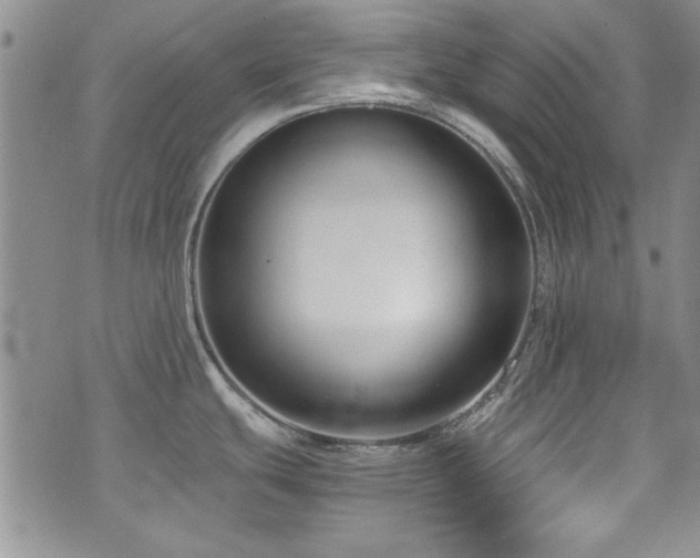 X0000076231439200609281101