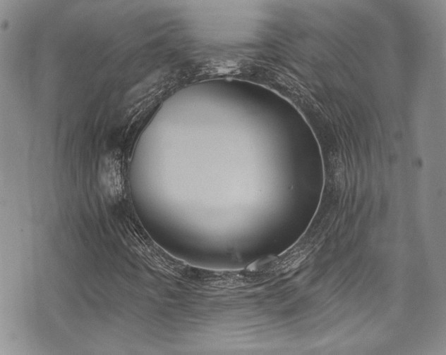 X0000076231442200609281100