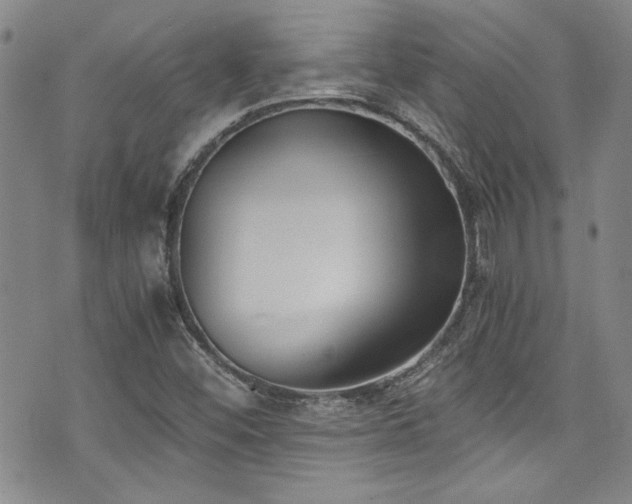 X0000076231452200609281100