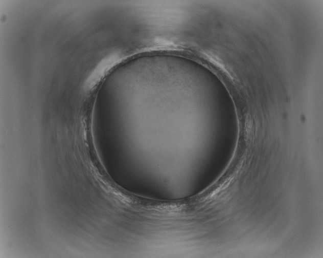 X0000076231455200609281100