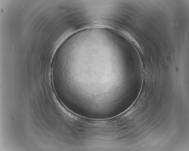 X0000076231484200609281059