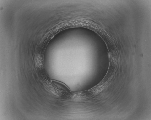 X0000076231490200609281059