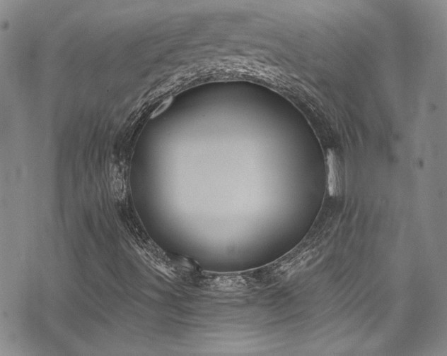 X0000076231491200609281059