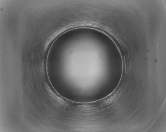 X0000076231500200609281059