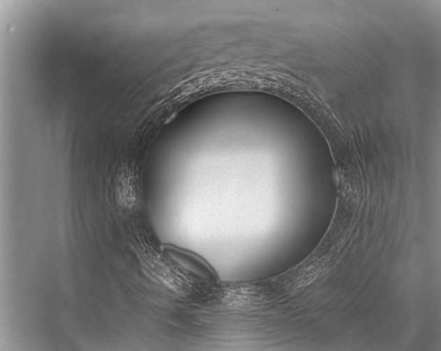 X0000076230002200610051117