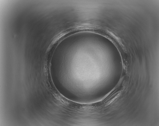X0000076230061200610051118